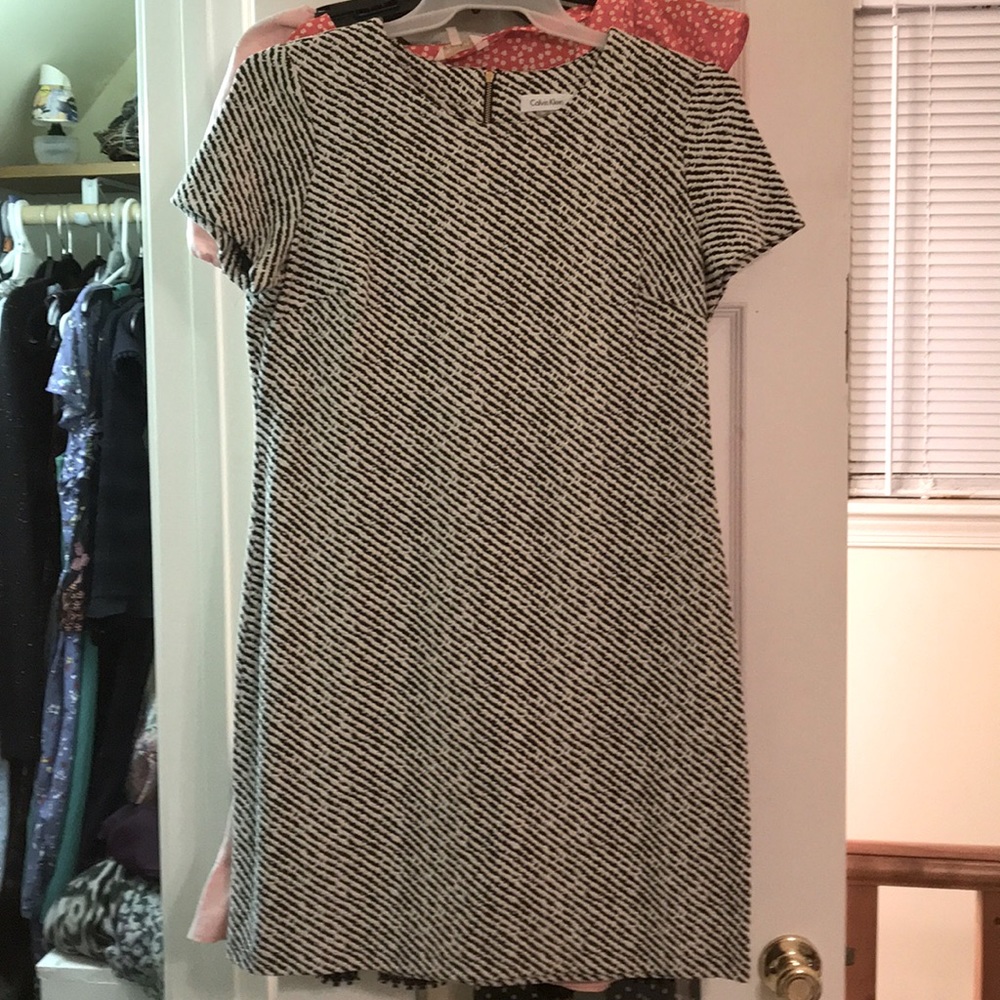 Calvin Klein Shift Dress